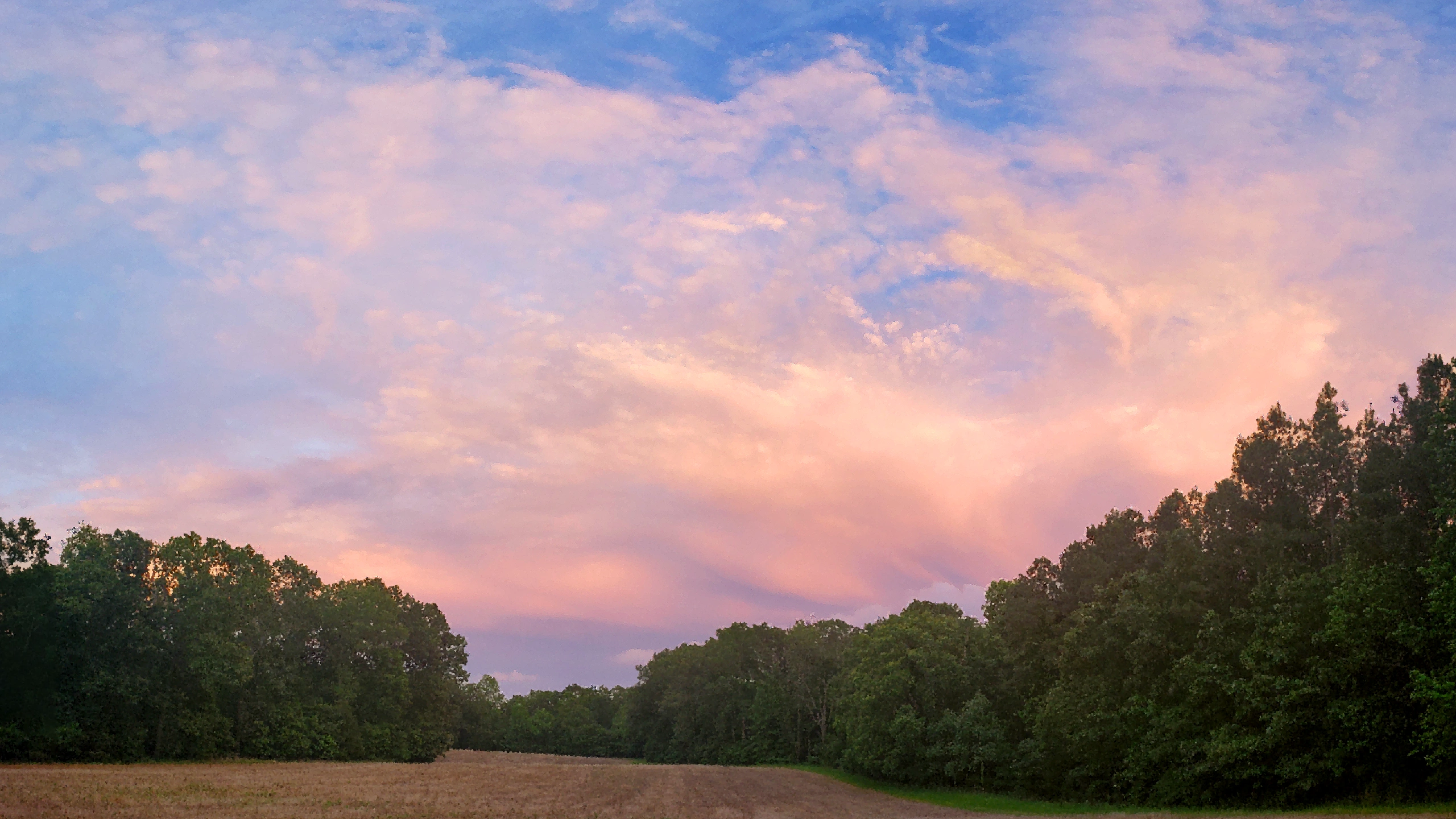 2020-05-29 Panorama