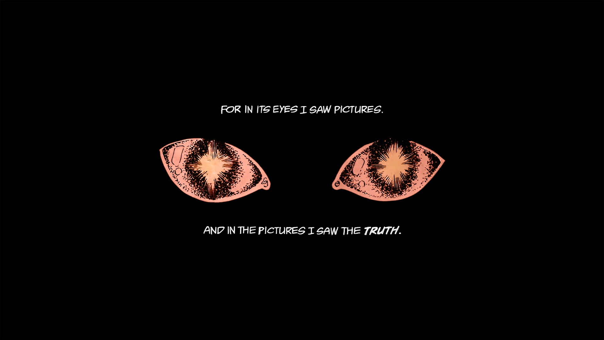 Cat Eyes